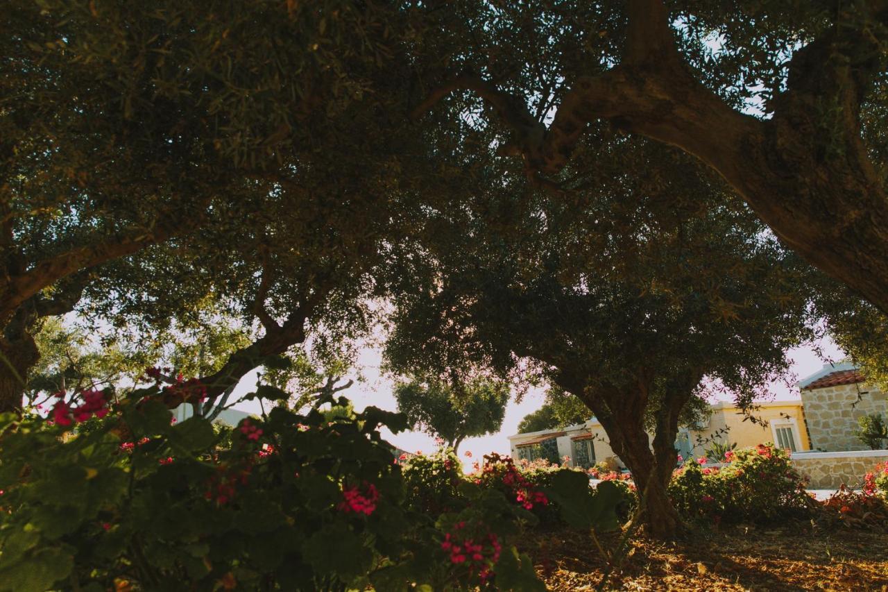 Creta Vitalis Kalathas Dış mekan fotoğraf